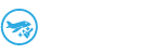 Private Jet Detailing